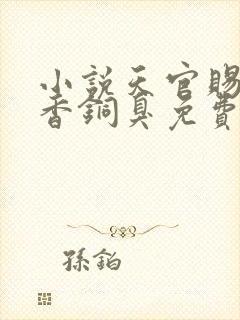 小说天官赐福墨香铜臭免费全文下载