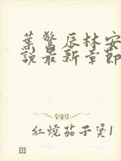 叶惊辰林安玥小说最新章节更新内容封面