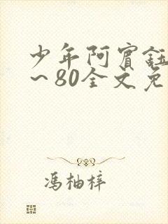少年阿宾钰慧1～80全文免费