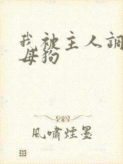 我被主人调教成母狗