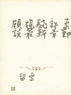 顾砚骁许柔汐小说最新章节更新时间