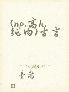(np,高h,纯肉)古言