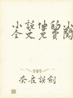 小说他的小野猫全文免费阅读