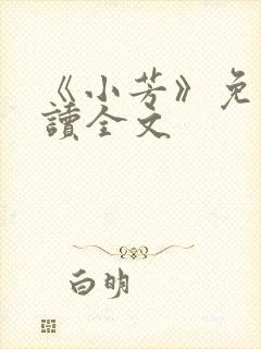 《小芳》免费阅读全文