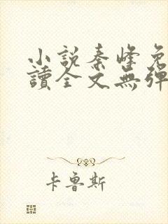 小说秦峰免费阅读全文无弹窗封面