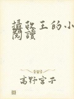 摄政王的小闲妻阅读