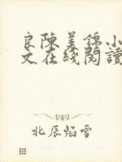 良陈美锦小说全文在线阅读