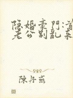隐婚豪门:首席老公别乱来 和苏封面