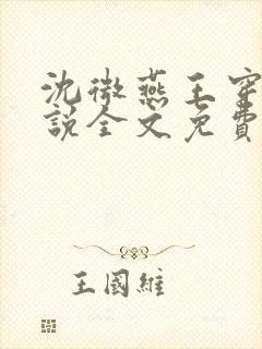 沈微燕王穿越小说全文免费阅读封面
