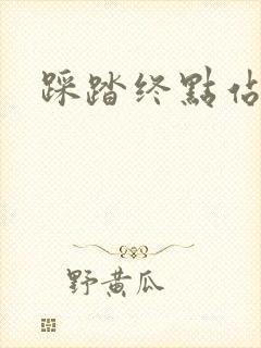 踩踏终点站