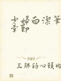 少妇白洁笔趣阁章节