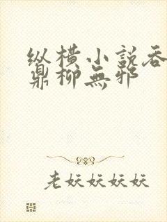 纵横小说吞天神鼎柳无邪封面