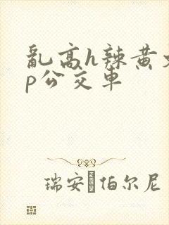 乱高h辣黄文np公交车