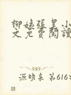 柳姨张昊小说全文免费阅读
