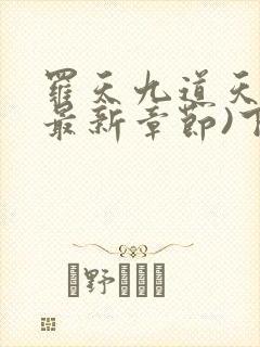 罗天九道天书(最新章节)下载