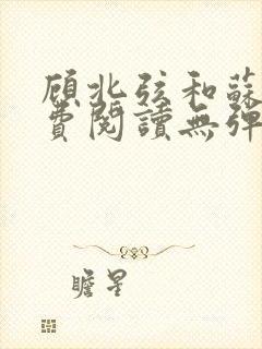 顾北弦和苏o免费阅读无弹窗书旗