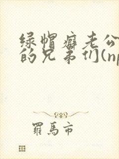 绿帽癖老公和他的兄弟们(np)封面