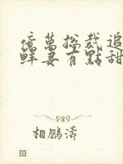 亿万总裁追妻 鲜妻有点甜