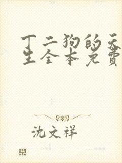 丁二狗的天梯人生全本免费阅读
