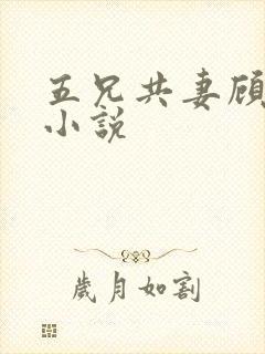 五兄共妻顾心儿小说