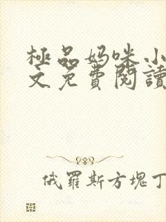 极品妈咪小说全文免费阅读