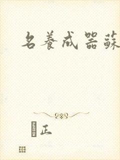 名养成器苏沫沫