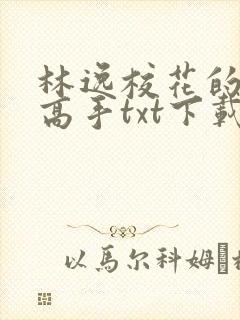 林逸校花的贴身高手txt下载封面
