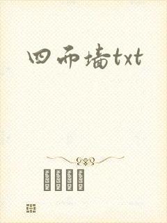 四面墙txt