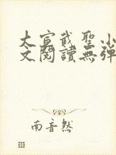 大宣武圣小说全文阅读无弹窗