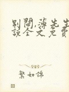 别闹,薄先生小说全文免费阅读txt