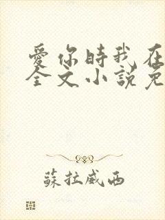 爱你时我在尘埃全文小说免费阅读全文