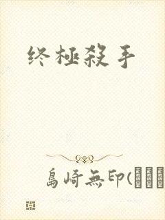 终极杀手封面