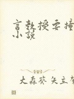 言教授要撞坏了小说