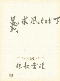 凤求凰txt下载