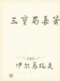 三宝局长萧燕封面