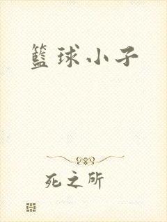 篮球小子