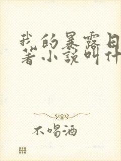 我的暴露日记原著小说叫什么