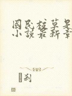 国民校草是女生小说最新章节阅读封面