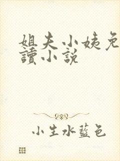姐夫小姨免费阅读小说