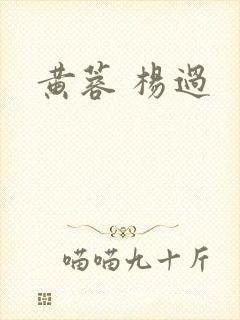 黄蓉 杨过