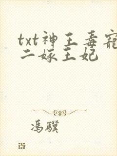 txt神王毒宠二嫁王妃封面
