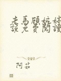 老马顾婉婷的小说免费阅读全文