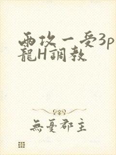 两攻一受3p双龙H调教
