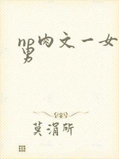np肉文一女多男封面