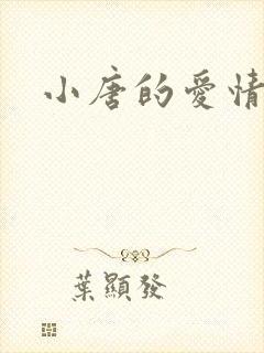 小唐的爱情史