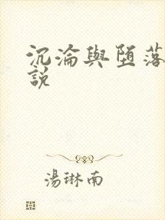 沉沦与堕落的小说
