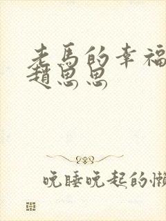 老马的幸福生活赵思思