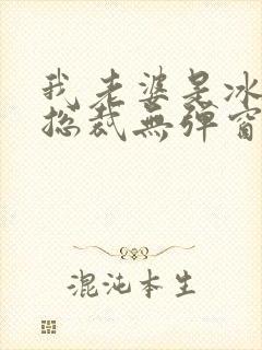 我老婆是冰山女总裁无弹窗免费