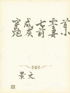 穿成七零首富的炮灰前妻小说