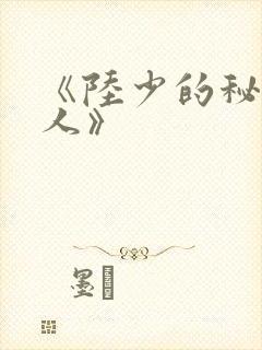 《陆少的秘密恋人》